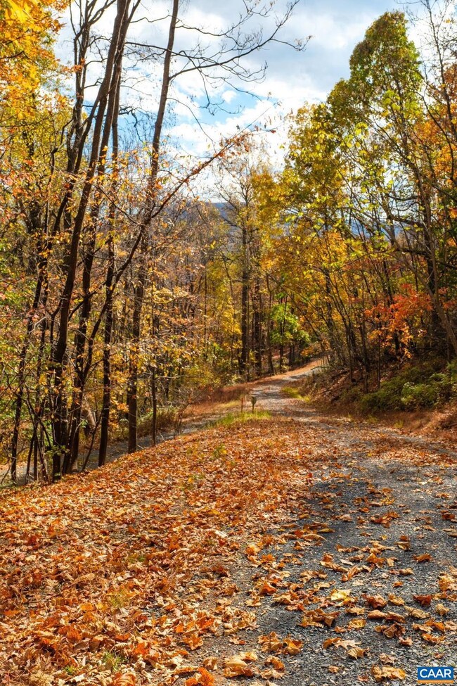 0 Tree House Place unit 43 658638, Nellysford, VA 22958 - photo 5