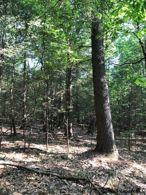 611 Buck Rd, Stone Ridge, NY 12484 - photo 5