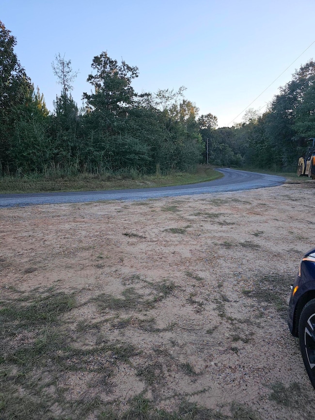 208 Red Top Rd, Lumberton, MS 39455 - photo 4