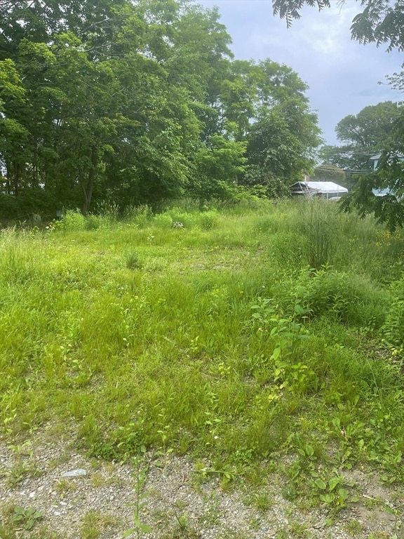 4 Tamarack St, Lowell, MA 01851 - photo 2