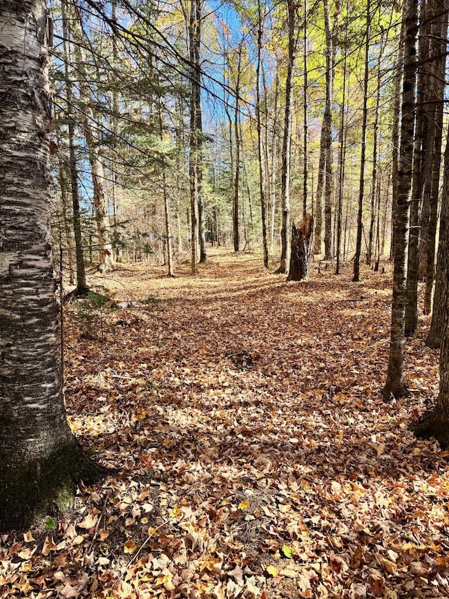 0000 Amber Lake Rd W unit Lot 3, Lac Du Flambeau, WI 54538 - photo 2