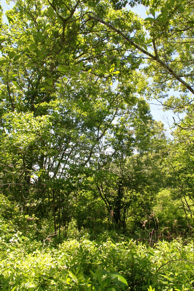 4 South Rd, Chilmark, MA 02535 - photo 7