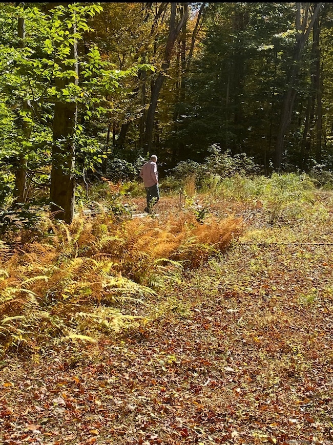 0 Brook Rd unit lot 4, Hampton, CT 06247 - photo 2