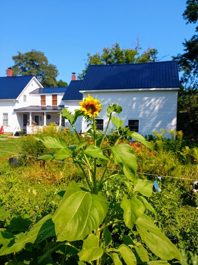 18 Forest St, Dover Foxcroft, ME 04426 - photo 7