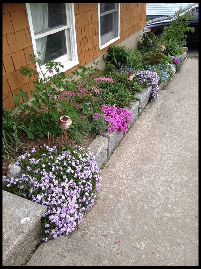 7 Oak Ln, Adams, MA 01220 - photo 3