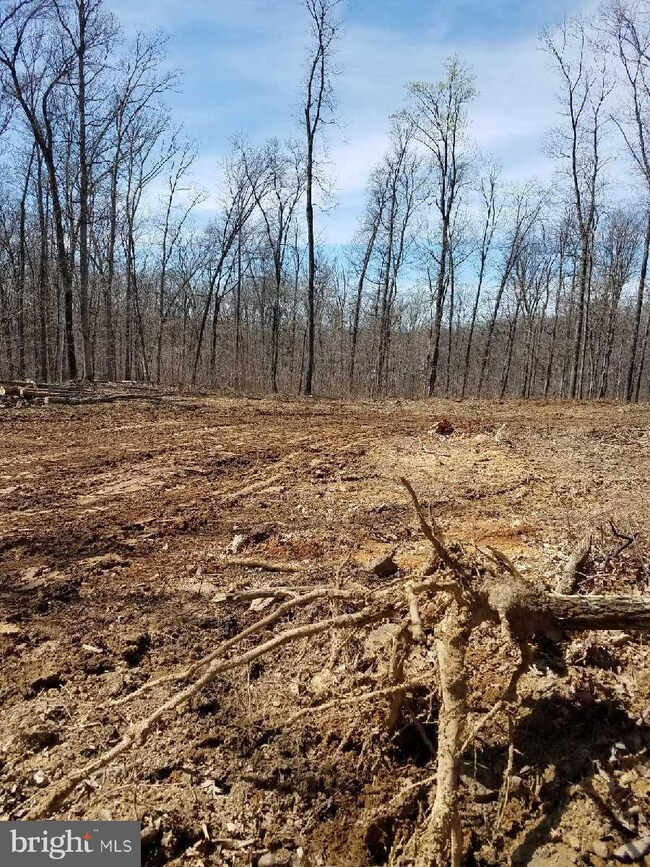 0 John Brown Farm Rd unit 1000308624, Harpers Ferry, WV 25425 - photo 4