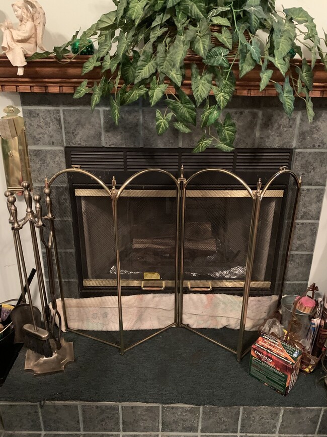 157 Hidden River Ave, Sparta, TN 38583 - photo 4