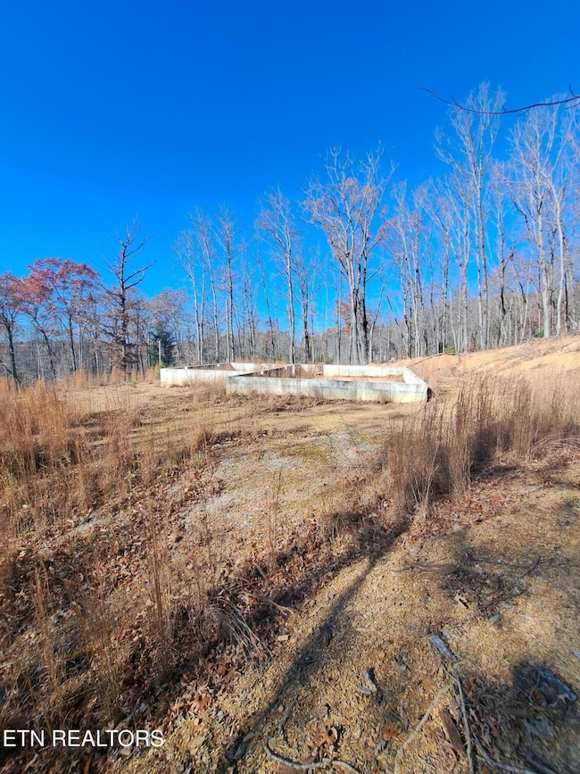 0 Evelyn Pvt Dr unit 1322105, Huntsville, TN 37756 - photo 2