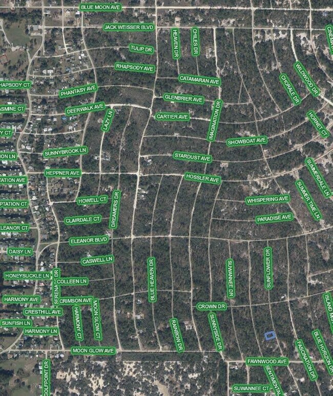 208 Sun Flower Dr, Lake Placid, FL 33852 - photo 3