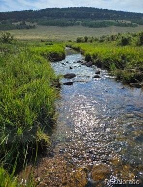 24870 Us Highway 285, Fairplay, CO 80440 - photo 6