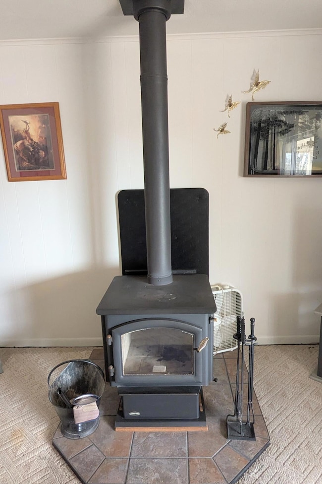 Wood Stove POH 3 Insert