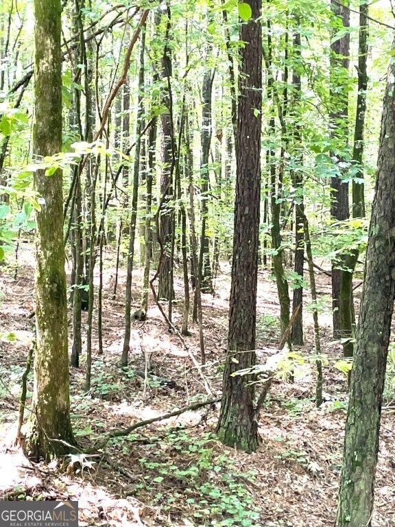 0 Georgia 22, Rayle, GA 30660 - photo 7