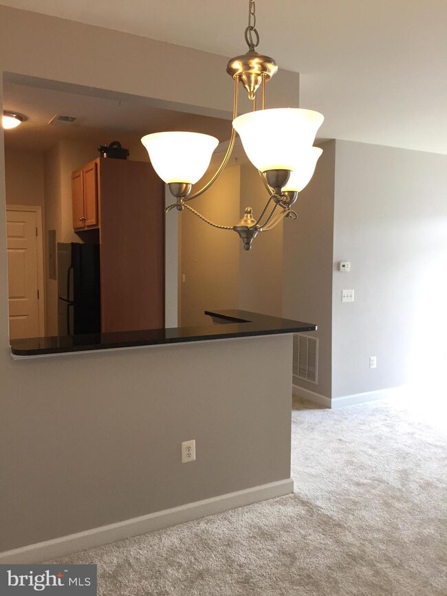 6163 Willow Place unit 301, Bealeton, VA 22712 - photo 7
