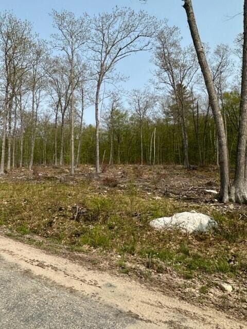 Lot 17 Birch Cir, Harrison, ME 04040 - photo 5