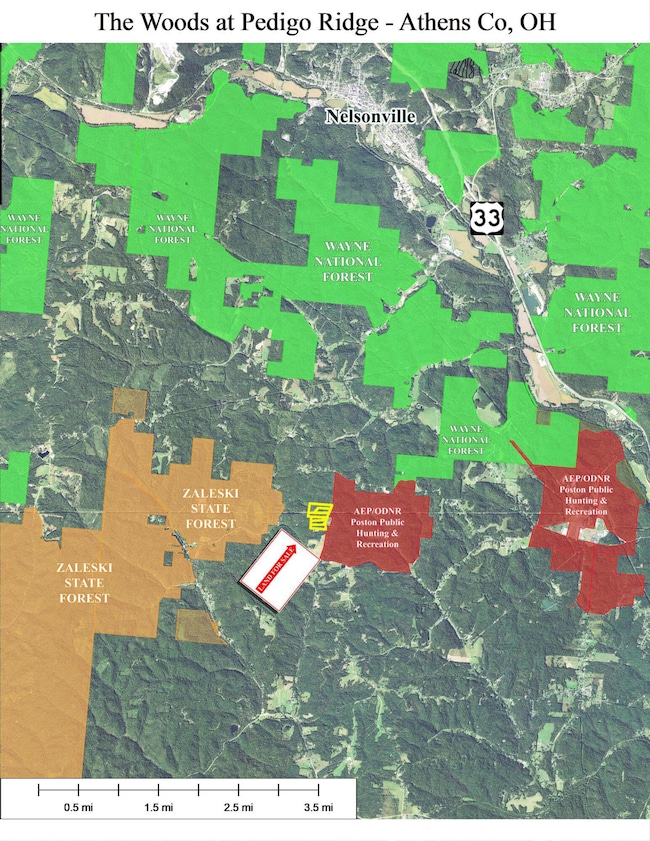 The Woods at Pedigo Ridge Area Parks Map