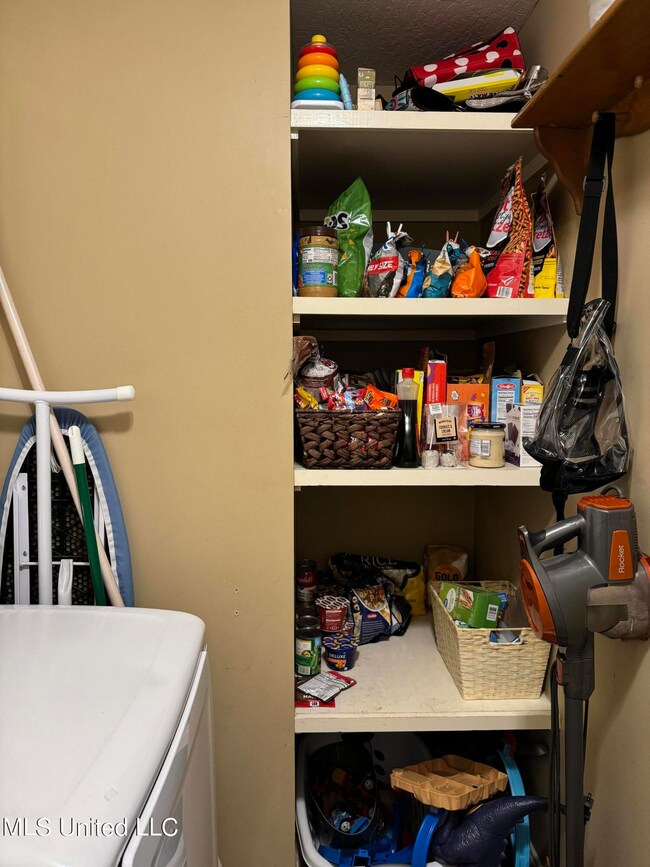 Pantry in Laundry Room