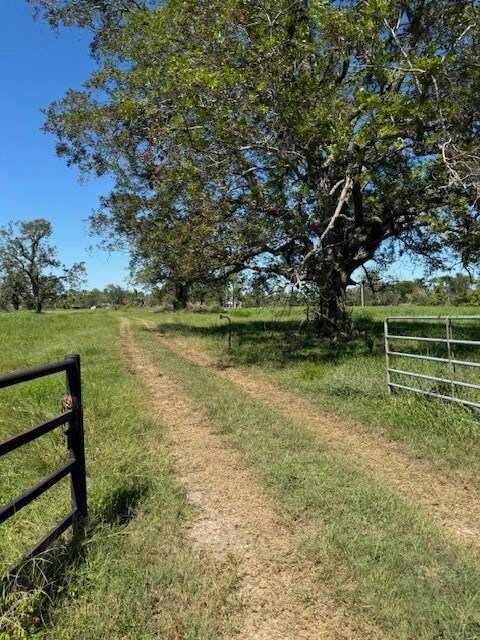 8208 County Road 400, Brazoria, TX 77422 - photo 4