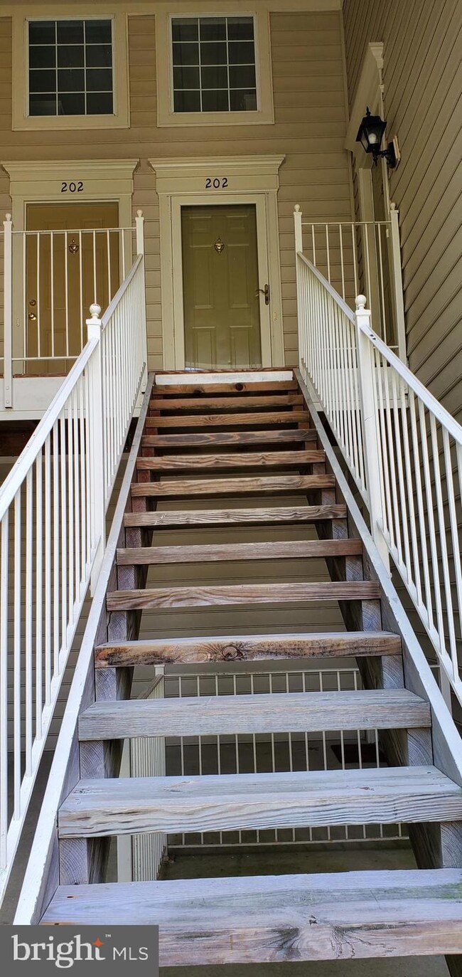 8202 Catbird Cir unit 202, Lorton, VA 22079 - photo 5