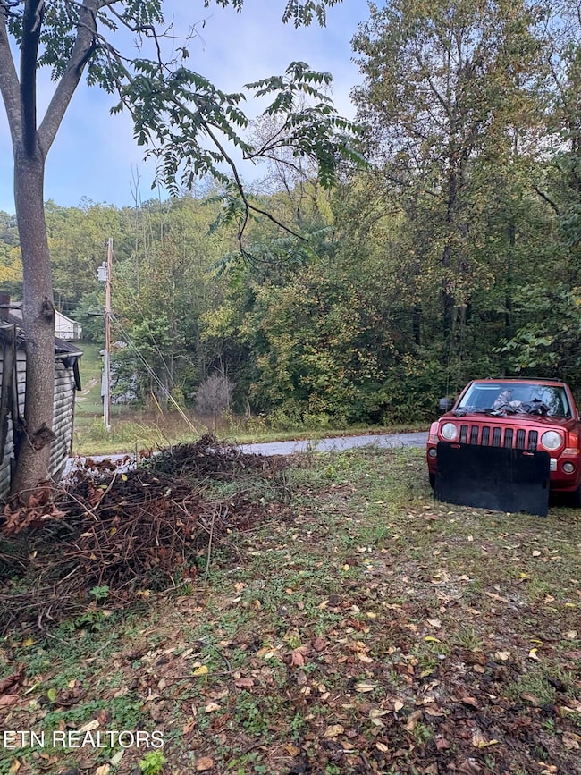 1340 Ryan Rd, Fall Branch, TN 37656 - photo 7