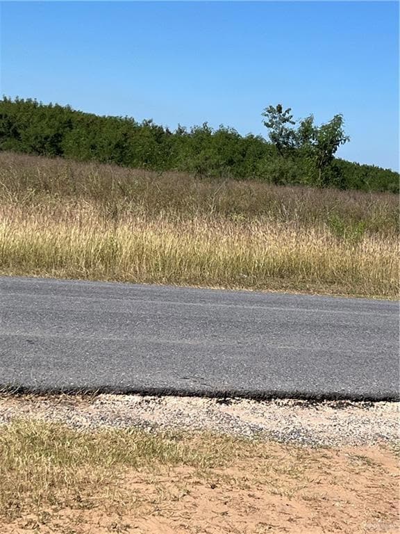 0 E Farm To Market 2812, Edinburg, TX 78542 - photo 3