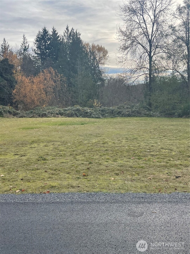 102 W Grand St, Granite Falls, WA 98252 - photo 3