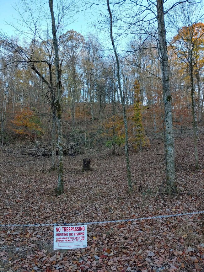 1299 Black Rd, Prospect, TN 38477 - photo 7