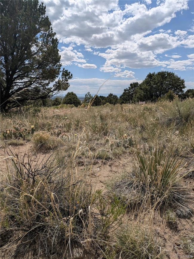 3213 Enchanted Ct, Crestone, CO 81131 - photo 4