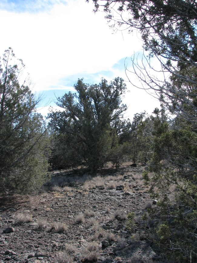 0 Lucky Ln unit 991210, Ash Fork, AZ 86320 - photo 7