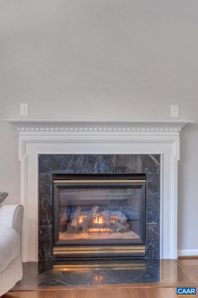 930 Canvas Back Dr, Charlottesville, VA 22903 - photo 7