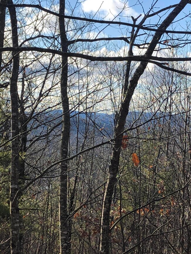 0 Bear Trap Rd unit 1494363, Bridgton, ME 04009 - photo 6