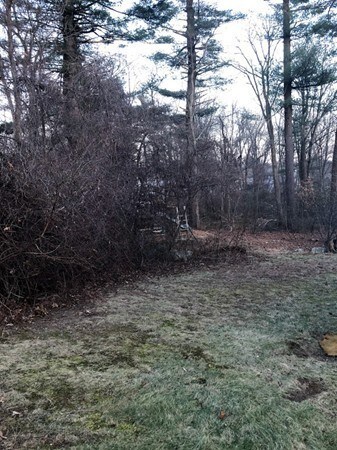 8 Haddad Ave, Randolph, MA 02368 - photo 5