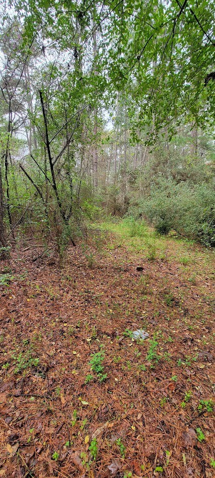 000 Old Highway 59, Lufkin, TX 75904 - photo 5