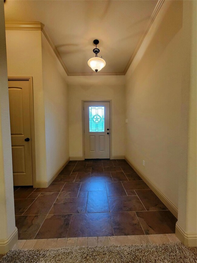 143 Brady Coleman Ln, Springtown, TX 76082 - photo 4