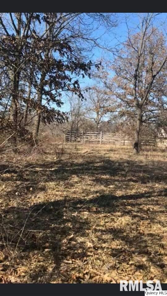 0 Pt Nw (Part of Lot 1) Sec 6 unit CA199119_1, Mt. Sterling, IL 62353 - photo 2