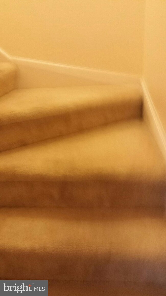 3635 Childress Terrace, Burtonsville, MD 20866 - photo 4