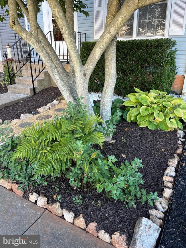 732 Arbor Ct, Warrenton, VA 20186 - photo 2