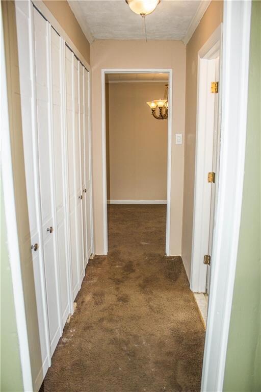 113 Fane Ct, Brooklyn, NY 11229 - photo 4