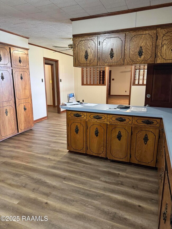 View from Kitchen