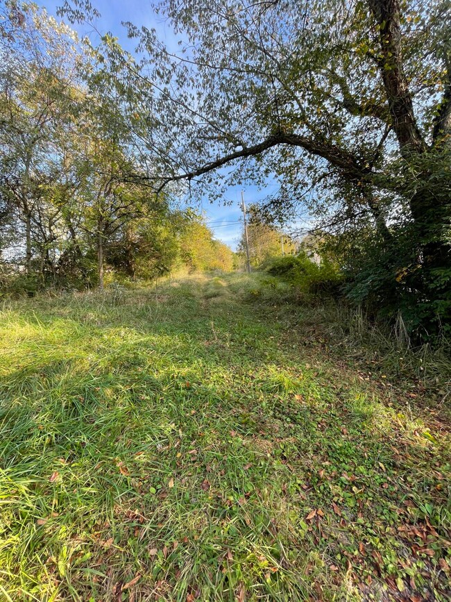 327 Woodlyn Rd, Johnson City, TN 37601 - photo 4