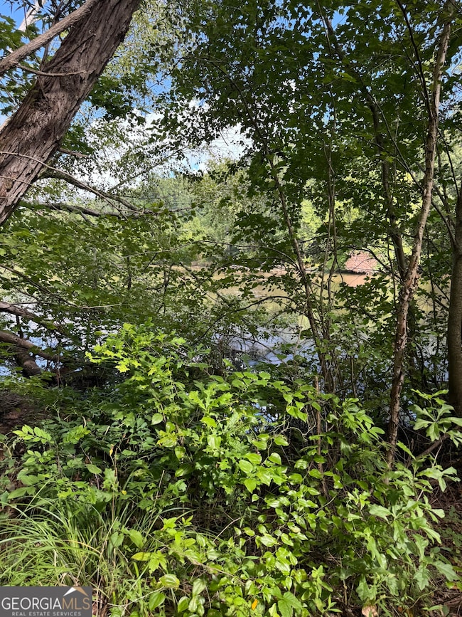 16653 Highway 36, Covington, GA 30014 - photo 4