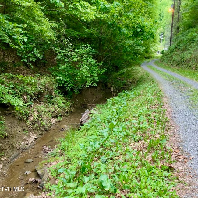 4127 Middlebrook Way, Saint Paul, VA 24283 - photo 3