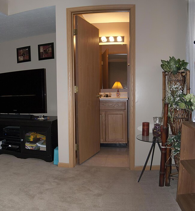 Lower Level Bath