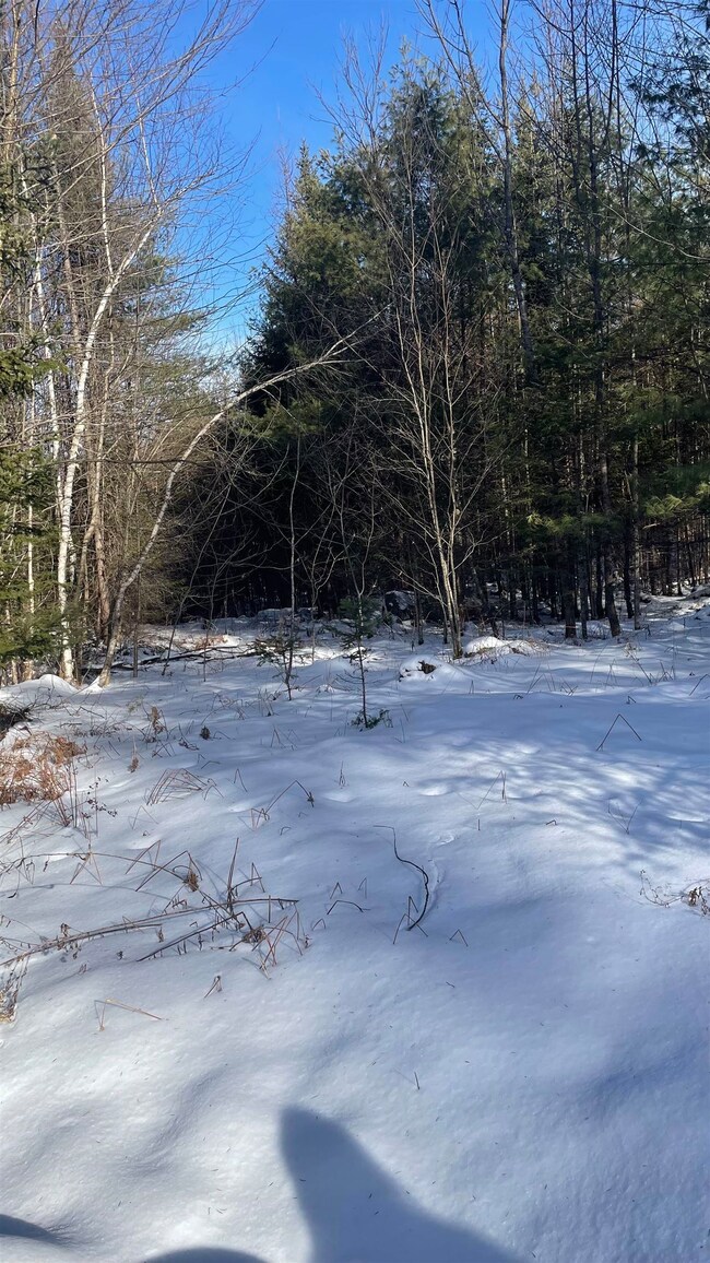 361 Old Franconia Rd, Bethlehem, NH 03574 - photo 7