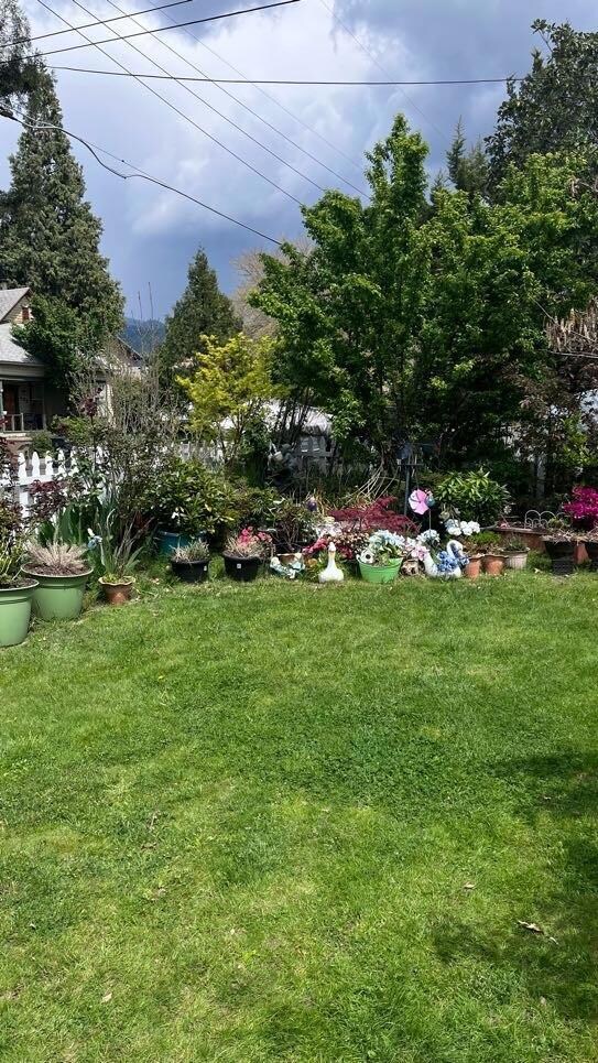 Front yard