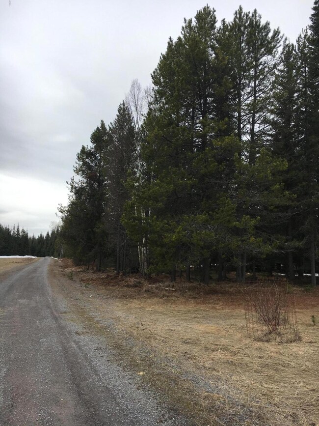 18 Carly Ln, Big Fork, MT 59911 - photo 4