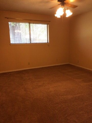 2563 Cr 769a, Brazoria, TX 77422 - photo 7