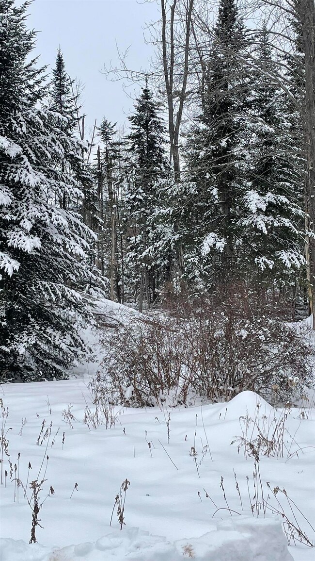 2137 N Littleton Rd, Littleton, NH 03561 - photo 7