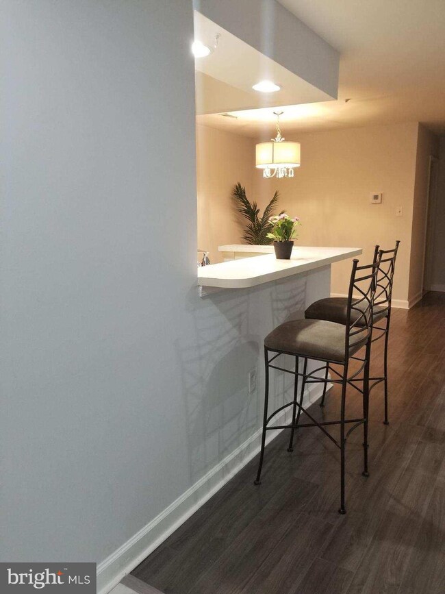 3303 Sir Thomas Dr unit 12, Silver Spring, MD 20904 - photo 4