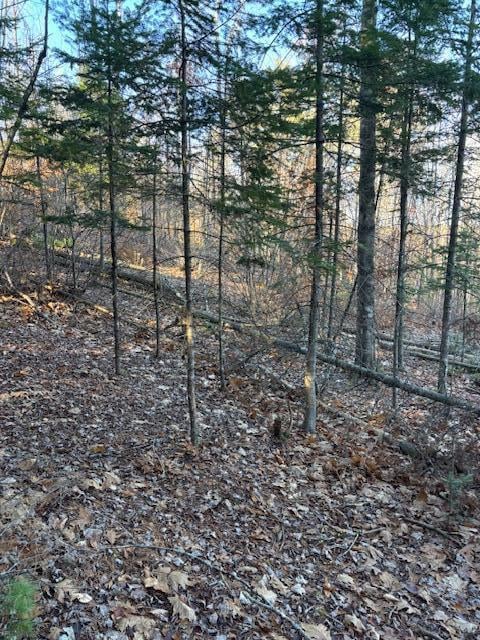 M 6, L 32 Main St, Wayne, ME 04284 - photo 7