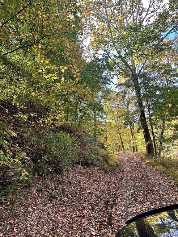 200 Shad Hollow Rd, Monaca, PA 15061 - photo 3